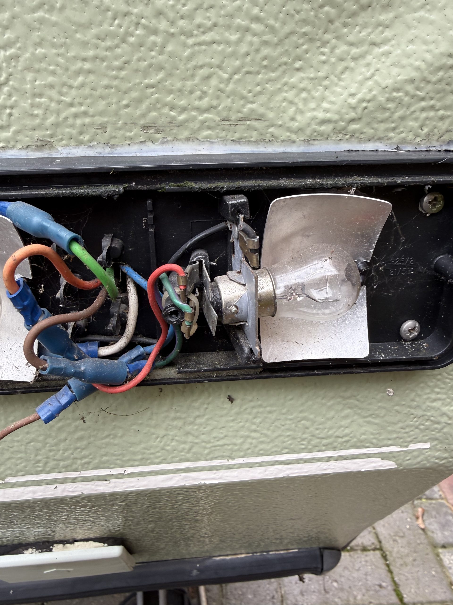 Vegetation inside caravan rear light cluster