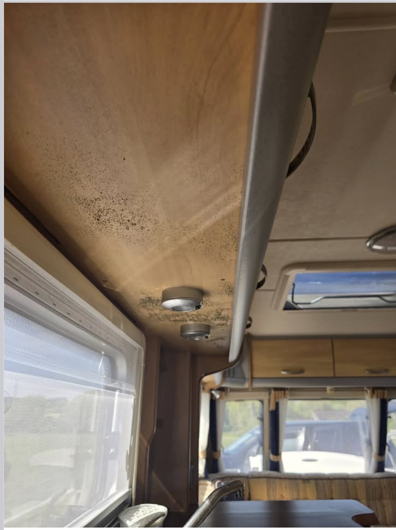 Mould-like spotting on caravan ceiling